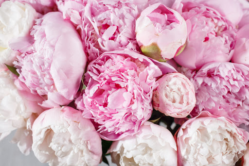 Peonies and Perfection, LLC