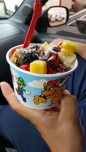 Frozen Yogurt Shop «Yogurtland», reviews and photos, 4170 Lavon Dr #176, Garland, TX 75040, USA