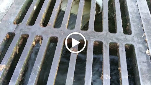 Golf Course «Babe Zaharias Golf Course», reviews and photos, 11412 Forest Hills Dr, Tampa, FL 33612, USA