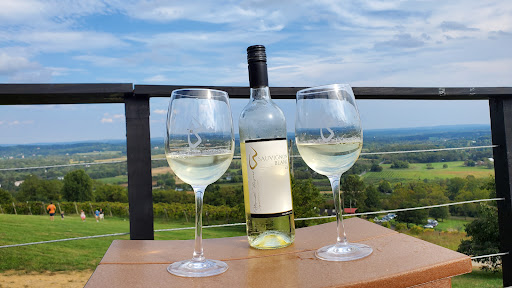 Winery «Bluemont Vineyard», reviews and photos, 18755 Foggy Bottom Rd, Bluemont, VA 20135, USA