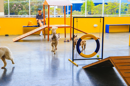 Petz em São Paulo - SP