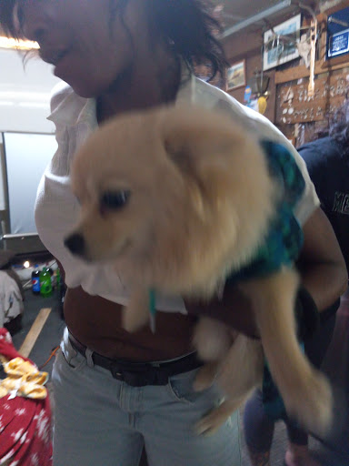 Pet Supply Store «Mini Pet Mart», reviews and photos, 1999 Main St, Springfield, OR 97477, USA