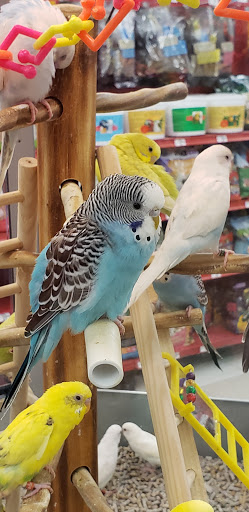 Pet Supply Store «Petco Animal Supplies», reviews and photos, 12163 Sheridan Blvd, Broomfield, CO 80020, USA