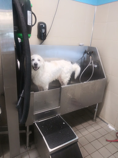 Pet Supply Store «Pet Supplies Plus», reviews and photos, 421 Green Springs Hwy Ste, Homewood, AL 35209, USA