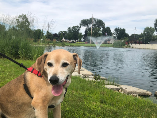 Park «Central City Park», reviews and photos, 36601 Ford Rd, Westland, MI 48185, USA