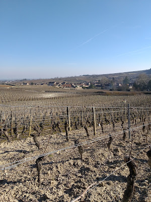 Creusefond Alain à Auxey-Duresses