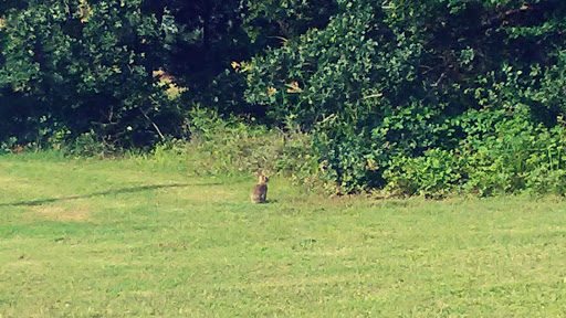 Park «Heritage Park», reviews and photos, 600 Spinks Rd, Flower Mound, TX 75028, USA