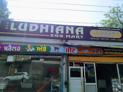 New Ludhiana Egg Mart - Shop No, 15 to 18, Kochar Market Rd, Near ESI Hospital, Model Gram, Ludhiana, Punjab 141008, India