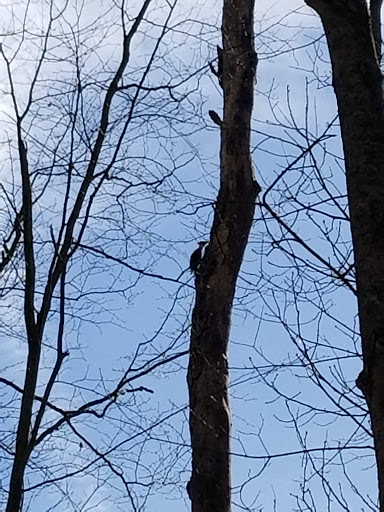 Nature Preserve «Cincinnati Nature Center», reviews and photos, 4949 Tealtown Rd, Milford, OH 45150, USA