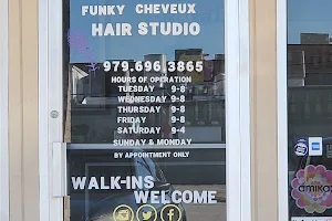 Funky Cheveux image