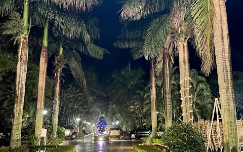 Royal Palm Resort image
