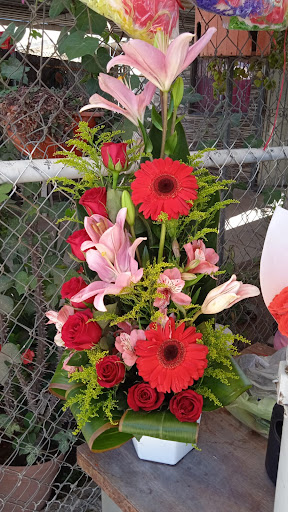 Florerías en Nicolás R Casillas, Jalisco: Entrega a Domicilio y Servicio 24 Horas