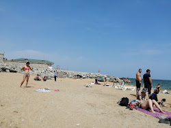 Photo de Laguna Beach partie de la zone de l'hôtel