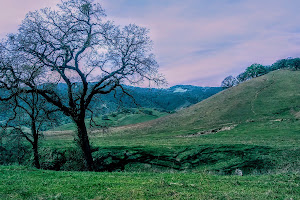 Round Valley Regional Preserve