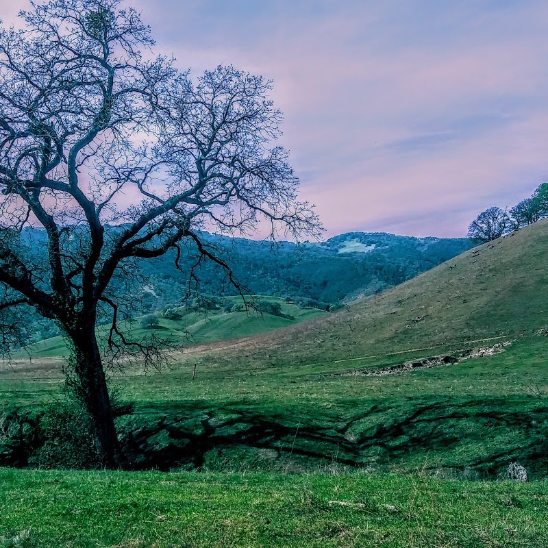 Round Valley Regional Preserve