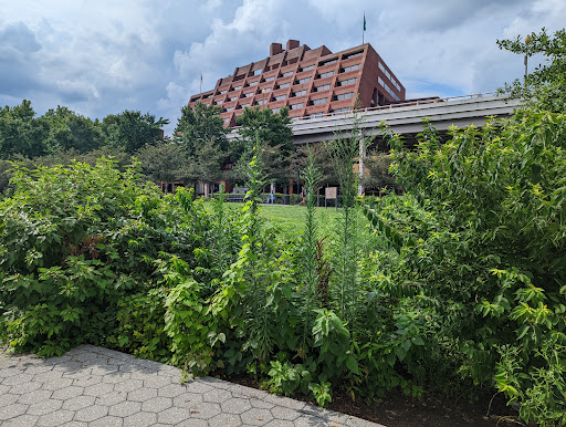 National Park «Georgetown Waterfront Park», reviews and photos, Water St NW, Washington, DC 20007, USA