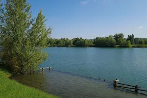 Lacs De Peches Grisolles image