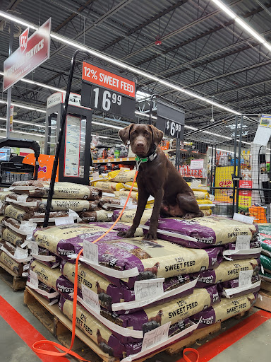 Dog Trainer «Off Leash K9 Training, Charlottesville», reviews and photos, 8782 Seminole Trail, Ruckersville, VA 22968, USA