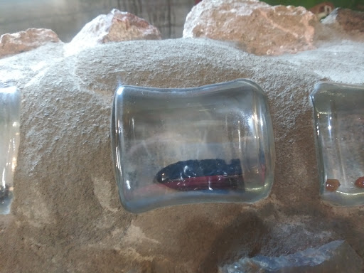 Museum «Living Rock Studios», reviews and photos, 911 W Bishop Way, Brownsville, OR 97327, USA