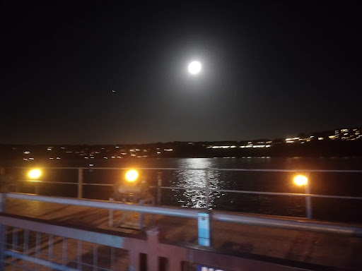 Bar & Grill «The Gnarly Gar», reviews and photos, 18200 Lakepoint Cove, Point Venture, TX 78645, USA