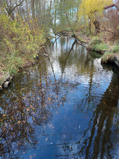 Park «Matthews Beach Park», reviews and photos, 5100 NE 93rd St, Seattle, WA 98115, USA