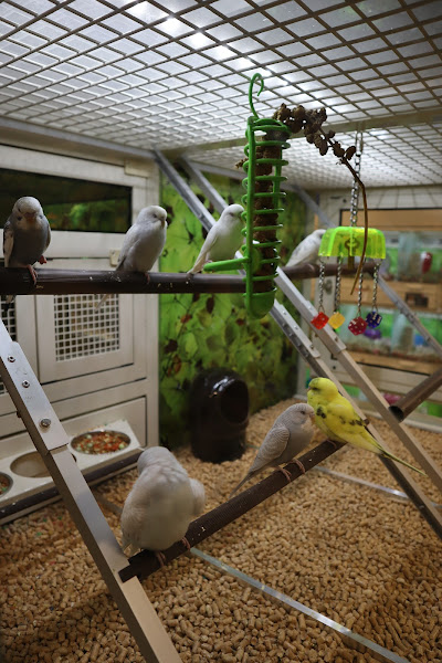 They have everything you need for your fish tank and whatever other pets you have. They do good by me. 