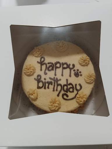 Pet Store «District Dog - A General Store for Pets», reviews and photos, 142 Driggs Ave, Brooklyn, NY 11222, USA