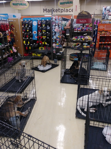 Pet Supply Store «Petco Animal Supplies», reviews and photos, 300 Quaker Ln #3, Warwick, RI 02886, USA
