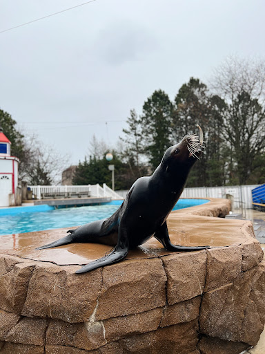 Zoo «Oceans of Fun», reviews and photos, 10001 W Bluemound Rd, Milwaukee, WI 53226, USA