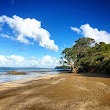 Pohutukawa Bay Beach