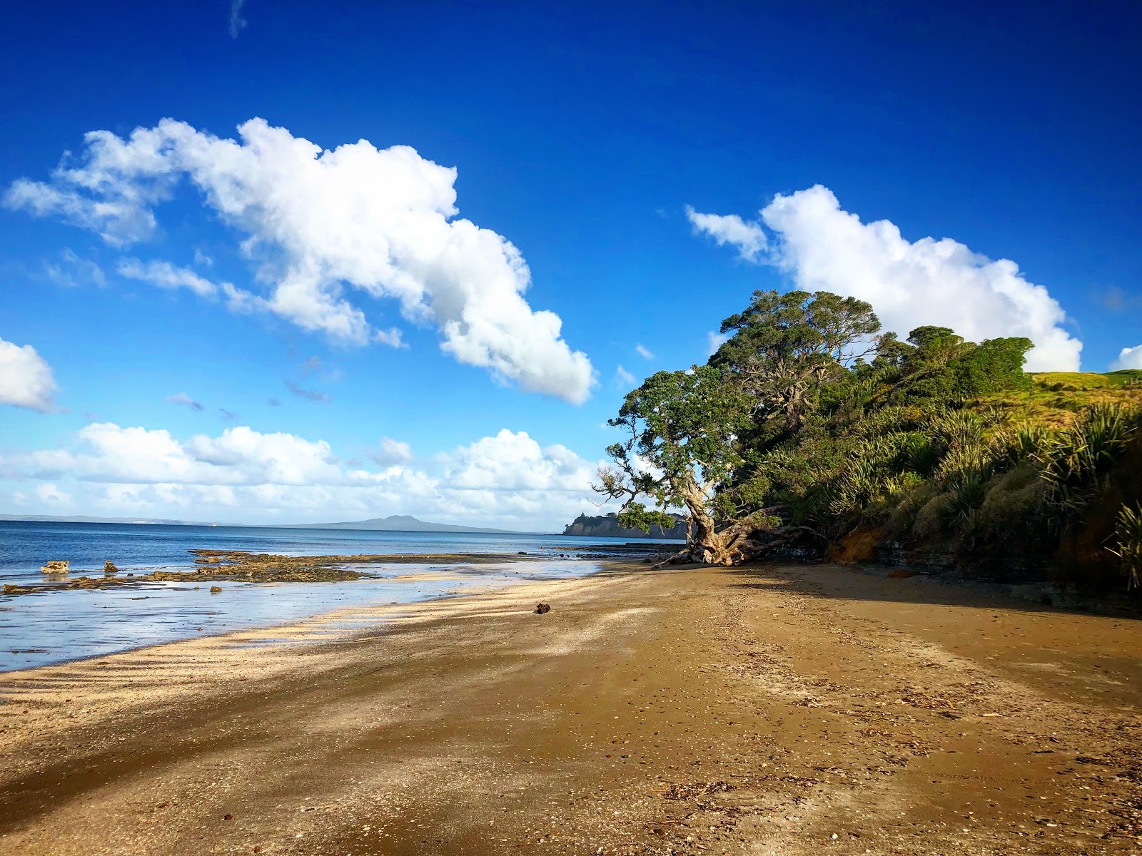 Fotografija Pohutukawa Bay Beach nahaja se v naravnem okolju