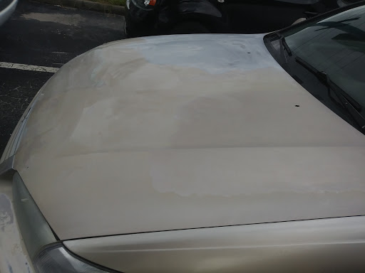 Auto Body Shop «Maaco Collision Repair & Auto Painting», reviews and photos, 12810 49th St N, Clearwater, FL 33762, USA