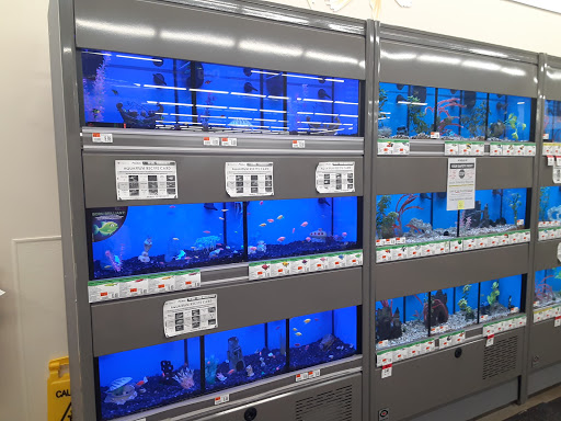 Pet Supply Store «Pet Supplies Plus», reviews and photos, 2912 Council Tree Ave #100, Fort Collins, CO 80525, USA