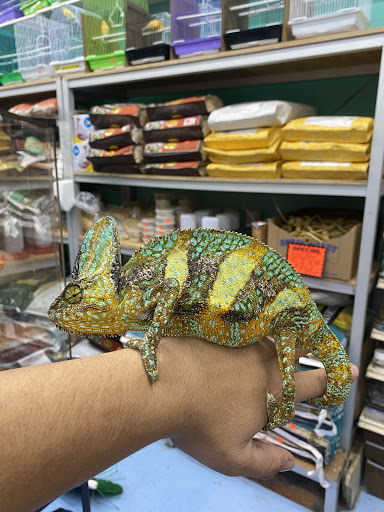 Pet Store «Jules Pet Shop», reviews and photos, 2214 N Milwaukee Ave, Chicago, IL 60647, USA