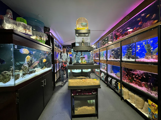 Mundo Marino - Manizales