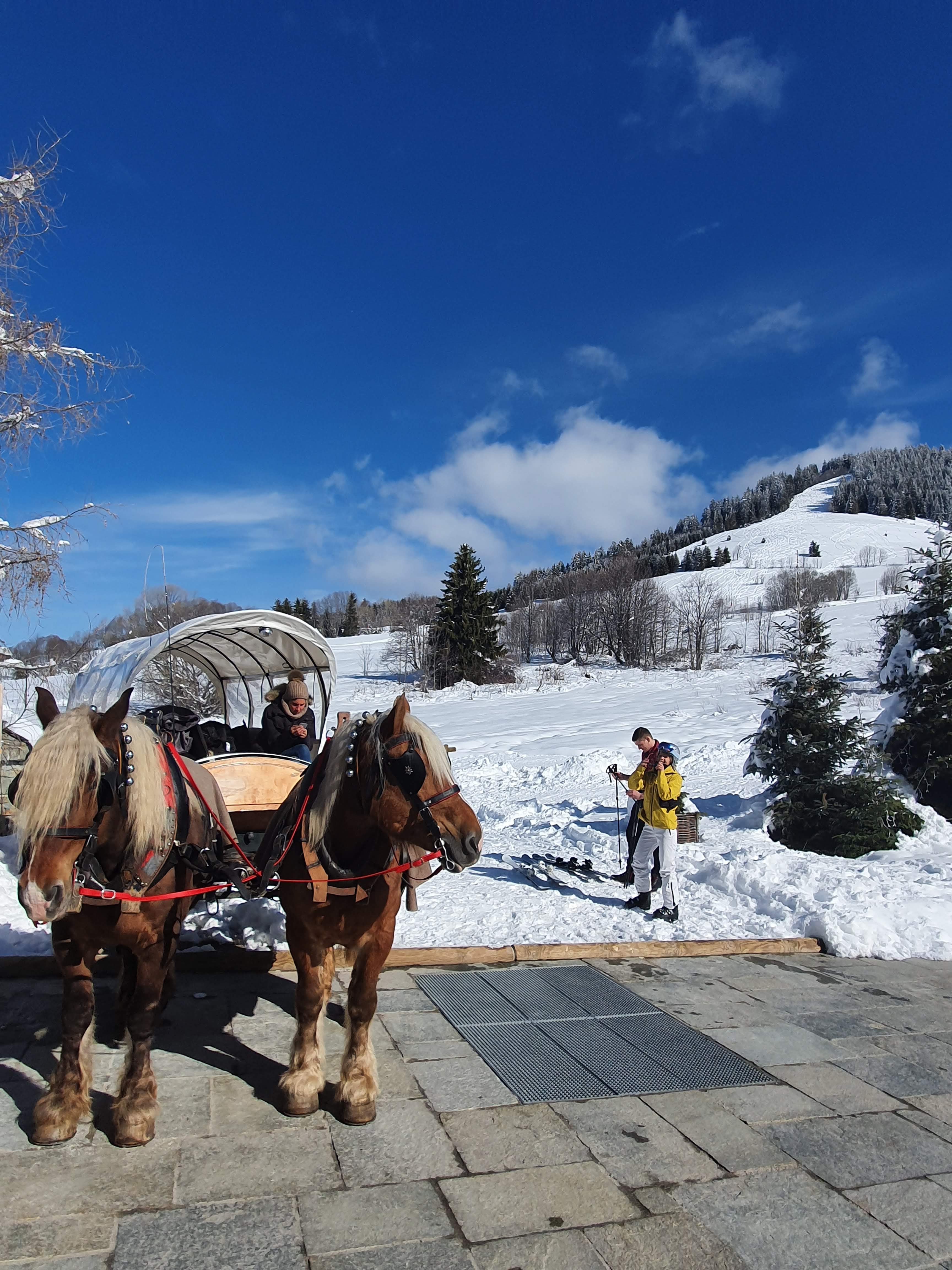Photo n° 4 de l'avis de Louis. fait le 05/05/2021 à 14:59
