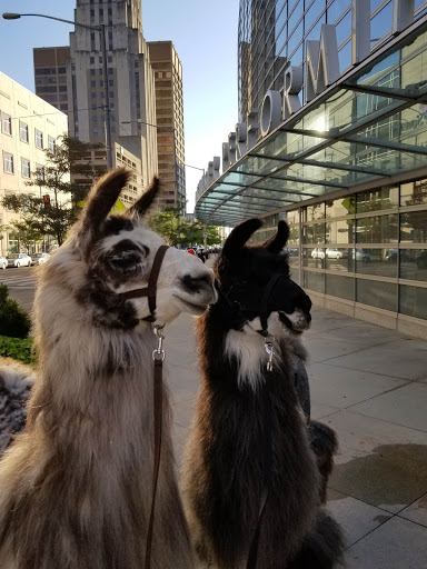 Performing Arts Theater «Benjamin & Marian Schuster Performing Arts Center», reviews and photos, 1 W 2nd St, Dayton, OH 45402, USA