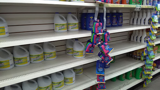 Dollar Store «Dollar Tree», reviews and photos, 843 Harley Strickland Blvd b, Orange City, FL 32763, USA