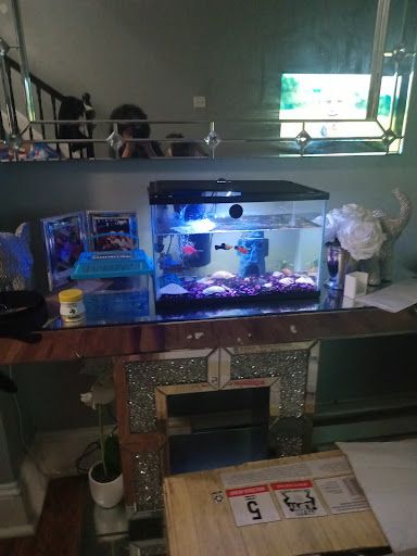 Pet Supply Store «Petco Animal Supplies», reviews and photos, 2621 MacArthur Rd, Whitehall, PA 18052, USA