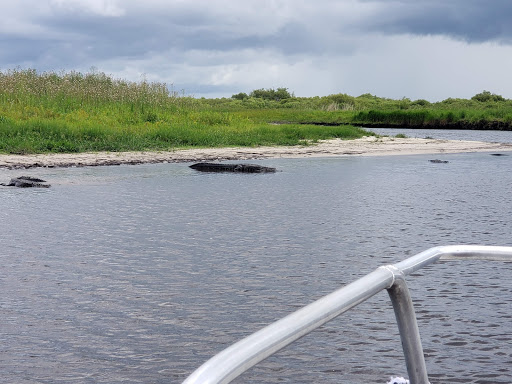 Tourist Attraction «Twister Airboat Rides», reviews and photos, 8199 W King St, Cocoa, FL 32926, USA