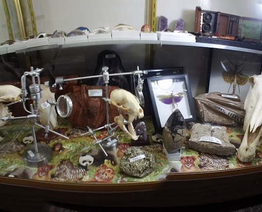 Toy Store «Brookside Toy and Science», reviews and photos, 330 W 63rd St, Kansas City, MO 64113, USA