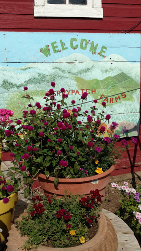 Produce Market «Berry Patch Farms», reviews and photos, 13785 Potomac St, Brighton, CO 80601, USA