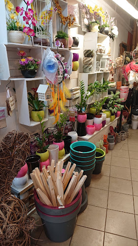 Nyitvatartás: Díva Orchidea (Pán-Amerika Stúdió)