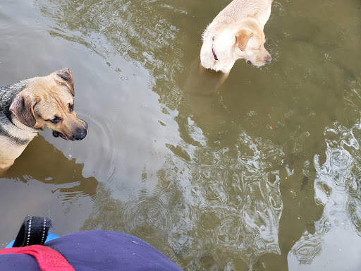 Nature Preserve «Liberty Reservoir», reviews and photos, 5685 Oakland Rd, Eldersburg, MD 21784, USA