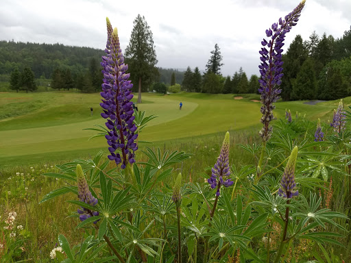 Private Golf Course «Aldarra Golf Club», reviews and photos, 29125 SE Duthie Hill Rd, Sammamish, WA 98075, USA