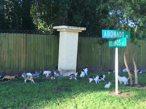 Florida Animal Control Associates