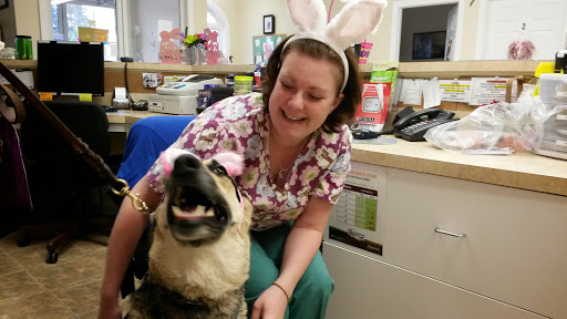 Tram Road Animal Hospital image