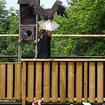 Photo n° 42 de l'avis de Islas.a fait le 05/07/2022 à 15:19 pour Parc de Courzieu à Courzieu