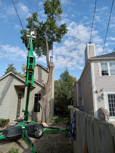 Tree Service «Polgar Tree Service & Removal LLC», reviews and photos