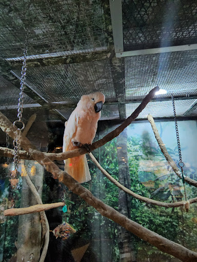 Tourist Attraction «Point pleasant beach», reviews and photos, 18 Trenton Ave, Point Pleasant Beach, NJ 08742, USA